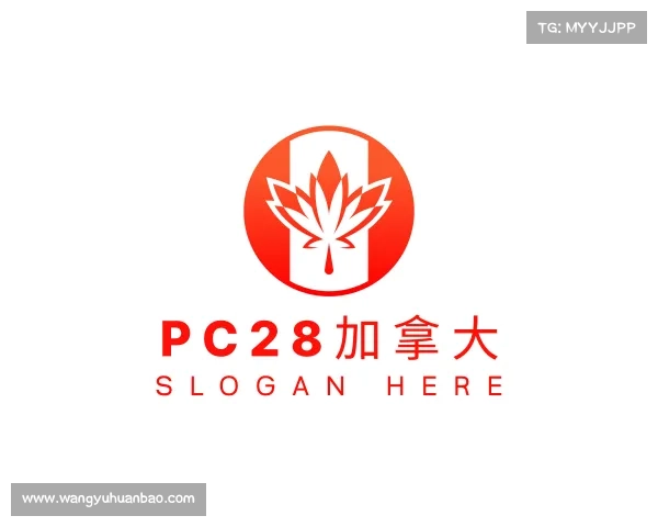 解读pc28加拿大